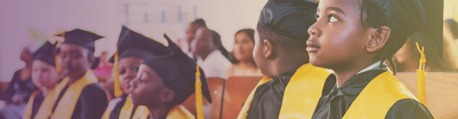 Curriculum Main Banner